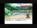 【幻想人形演舞】ポケモン歴20年の雑魚が幻想入り　第5話