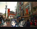 【MAD】森を追われた谷風