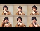 一人でハモってみた【Maroon5・Sugar】
