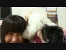 アイドル社員 種ちゃん「君へ届け」Music Video