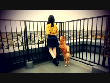 【ゆらん】ハーゲンダッツ以下の殺風景　踊ってみた