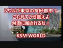 【KSM】ソウルが東京の友好都市？これ見てから言えよ 舛添に騙されるな！