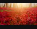 【蒼姫ラピス】チクタク【オリジナル】