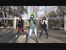 【ななしのごんBeee】あったかいんだから【踊ってみた】