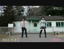 【きんしたまご】夢地図 踊ってみた【華夢姫】