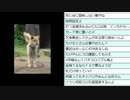 永井先生とたけやんの雑談配信in島根 [2015.02.16] (1/2)