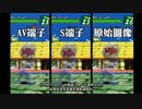 セガサターン画面表現大検証(中国語)