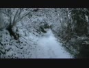 雪の日の高尾山を登ってみた！