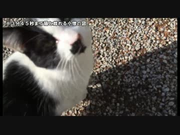 【ごめん】滝を見よう！入間郡越生！【SR】