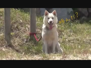 無人島キャンプ生活　パート1