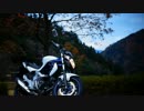 GLADIUS400 ABS, SUZUKI