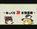 ～ゆっくり　珍　生物図鑑～　第36回 二種のヤガ