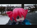 旧正月＝ベトナム語で『テト』動画By 2015-02-19