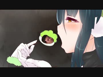 ninja250先輩と往く動画詰め合わせ