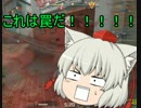 ゆっくりたちのenjoy護衛録 Part4