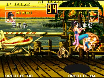 【TAS】ファイトフィーバー【ミユキ】