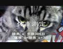 【生後306日】きょうの仔猫【蒼民家の猫々】