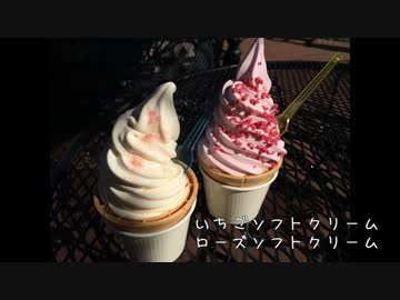 2014 今年出会ったソフトクリームたち　７