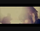Catfish and the Bottlemen - Homesick (Official Video) - EP Version