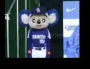 ドアラでVEAM