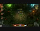 【Divinity: Original Sin】二人でまったり大冒険！プレイ動画その41