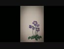 春夏秋