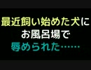 最近飼い始めた犬にお風呂場で辱められた……【2ch】