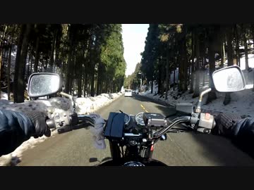 【高画質】京都の春を満喫【ツーリング】