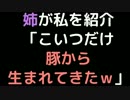 姉が私を紹介「こいつだけ豚から生まれてきたｗ」【2ch】