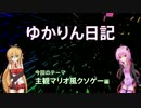 ゆかりんの自作クソゲー日記【主観スーパーマリオブラザーズもどき編】