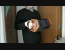 クロノ・トリガー「風の憧憬」をコンサーティーナで立ち弾きしてみた