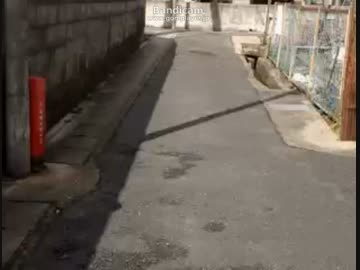 自転車旅　京滋　　山科あたり　　　リシュリュー