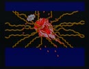 【ゲーム実況】星屑の俺達とUFO仮面ヤキソバン　その２【SFC】
