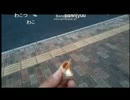 SD氏　クレープを食す