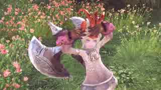 【TERA】「ヴェリカ～アルカニア領・伐採者の村周辺」プレイ動画