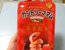 遊戯王　一風変わった開封動画　その461
