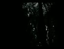 洋館「いる。怖すぎる投稿映像13本　Vol.7」