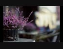 【off vocal】縁は異なもの