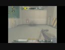 【AVA】新フラッシュ効果範囲【検証動画】