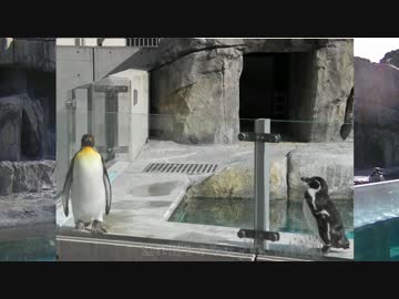 出張旅行～愛媛編①