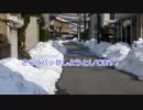我が家のKAITOさんの昨日見た出来事【トークロイド】