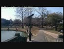 SD氏　ポカポカ公園散歩