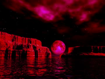 新・谷山浩子のおかしな曲たち