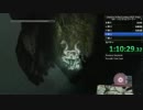 【ワンダと巨像】ストーリーRTA(ハード) 「１時間50分30秒40」③