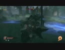 【微字幕実況】ロードオブザフォールン part8【初期生命力縛り】