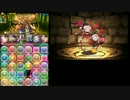 【パズドラ】聖獣達の楽園　曲芸士　TA