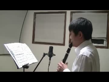 【clarinet】Bach Partita Nº 2, BWV 1004  1.Allemand【演奏してみた】