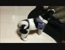 昴のおやつTime♪