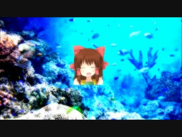 12／16神社.underwater