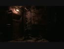 ホラーNGが行くバイオハザードHDリマスター実況part21